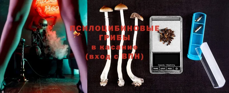 Галлюциногенные грибы Magic Shrooms  наркотики  Шарыпово 